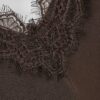 Brown Longline Lace Cami Top