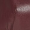 Red Faux Leather Shell Top