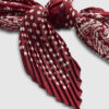 Red Plisse Paisley Print Neck Scarf